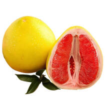 福建平和 红心柚子 红肉蜜柚 简装 新鲜水果 2个装（净重约4-4.5斤）    96.5元，合19.3元/件