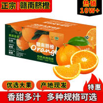 集南鲜 赣南脐橙  江西橙子脐橙时令新鲜水果橙手剥橙生鲜水果年货礼盒 5斤优选大果彩箱（单果约150-200g）29.9元