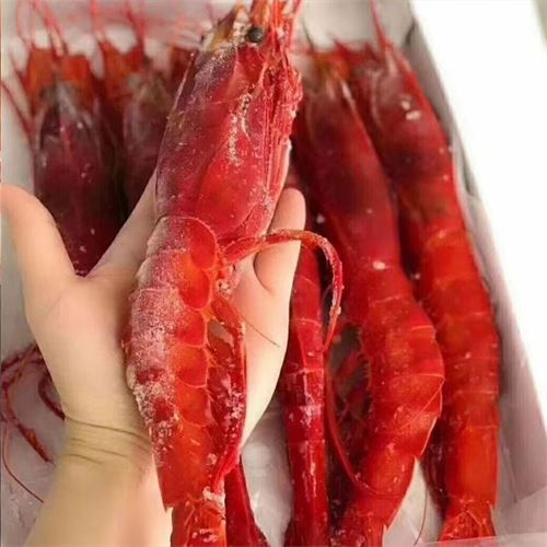 国产刺身红魔虾 238.0元