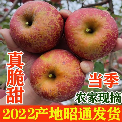 云南冰糖心丑苹果 42.0元