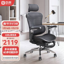 西昊 Doro C300 人体工程学椅电脑椅办公椅电竞椅家用书房学习座椅 C300 曜黑 带脚踏（包安装）2169.0元