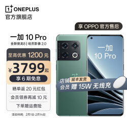一加 10 Pro 享OPPO官方售后骁龙8 柔性屏哈苏影像2.0 80W超级闪充5G手机 万物青 12GB+256GB3799.0元