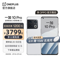 一加 10 Pro 享OPPO官方售后骁龙8 柔性屏哈苏影像2.0 80W超级闪充5G手机 胖达白 12GB+512GB4099.0元