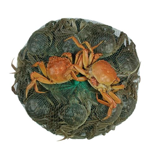 7两小闸蟹 69.03元