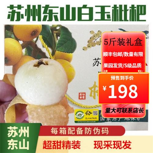 run)正宗苏州东山白玉枇杷新鲜特级大果枇杷琵琶孕妇水果顺丰礼盒